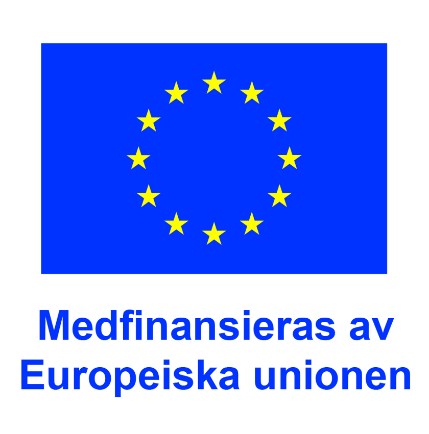Logotyp EU