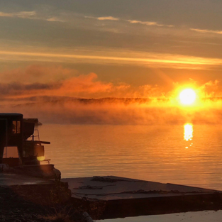 Odling i solnedgång